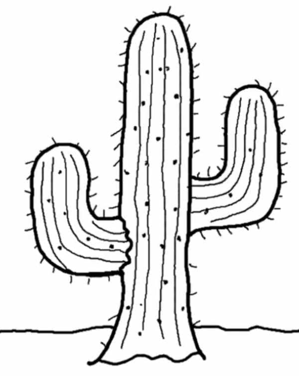 Fise de colorat cu Cactus de colorat p03