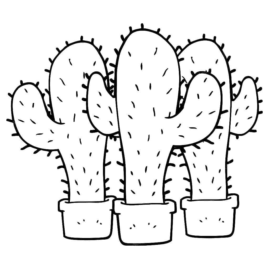 Fise de colorat cu Cactus de colorat p04