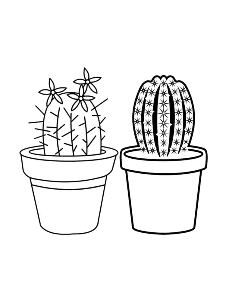 Fise de colorat cu Cactus de colorat p05