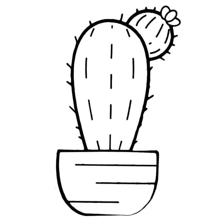 Fise de colorat cu Cactus de colorat p07