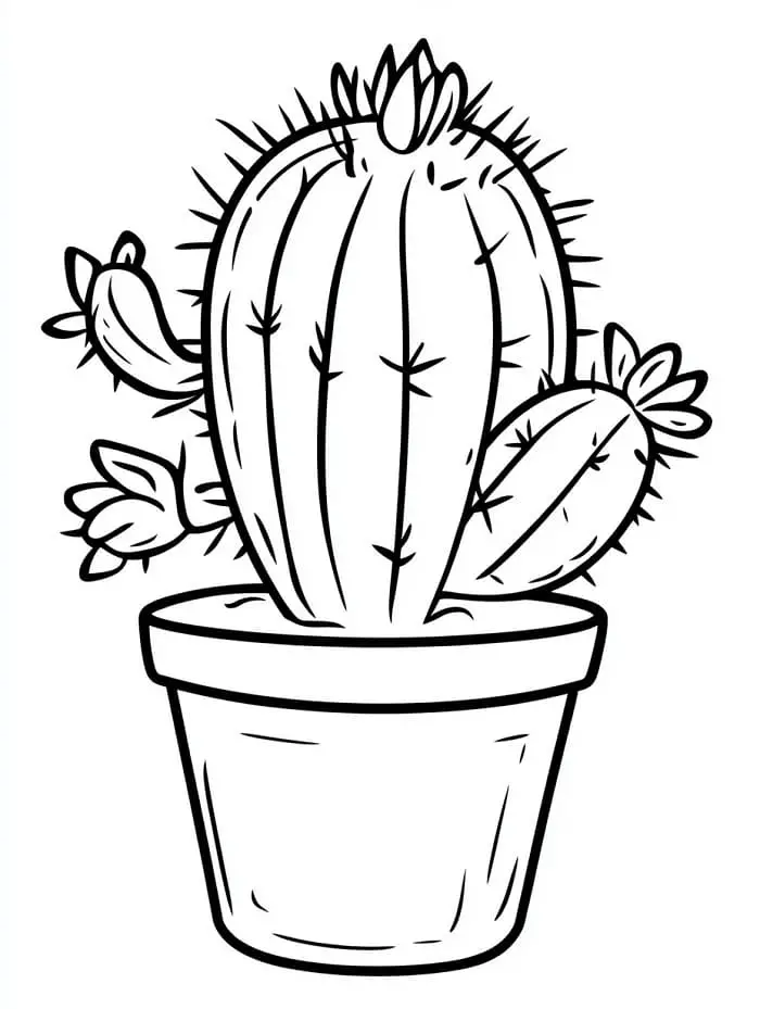 Fise de colorat cu Cactus de colorat p13