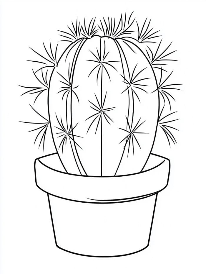 Fise de colorat cu Cactus de colorat p17