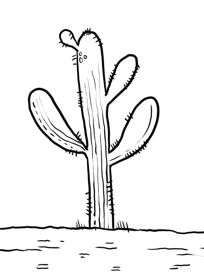 Fise de colorat cu Cactus de colorat p29