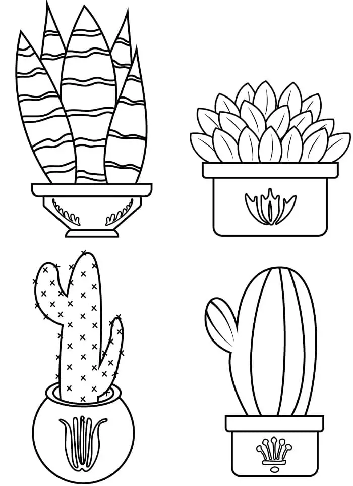 Fise de colorat cu Cactus de colorat p30