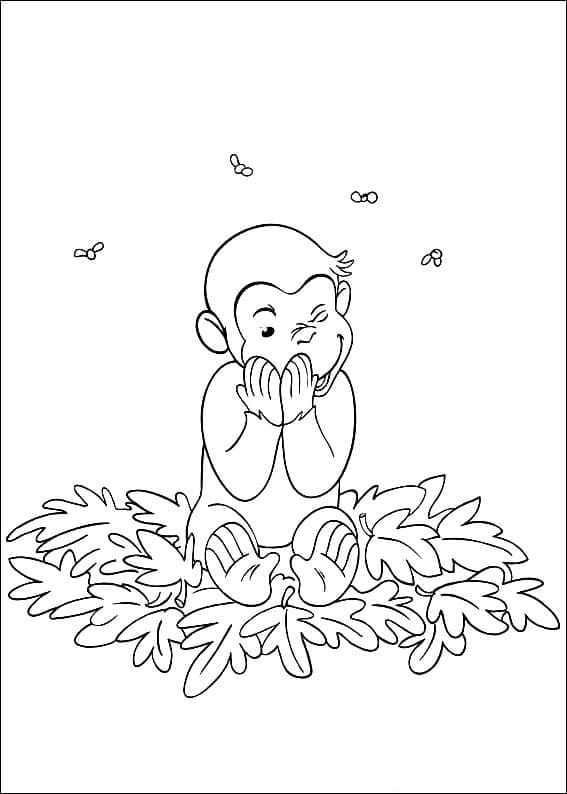 Curiosul george de colorat p20