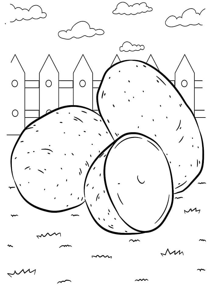 Legume de colorat p10