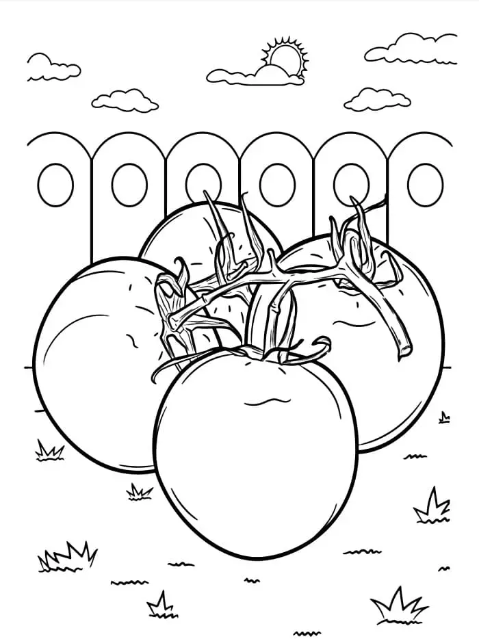 Legume de colorat p16