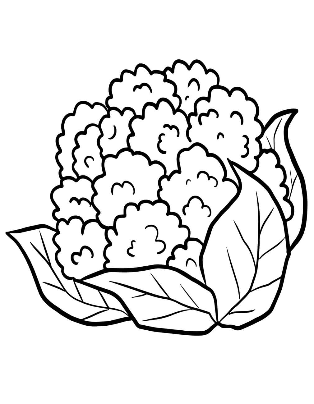 Legume de colorat p25