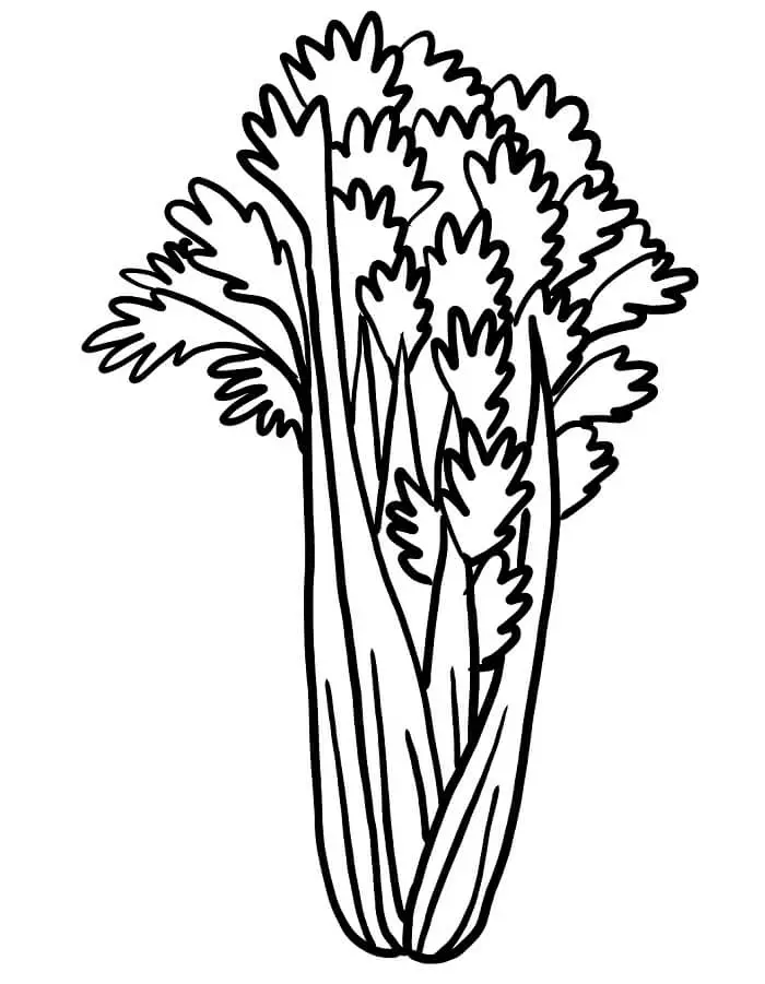 Legume de colorat p27