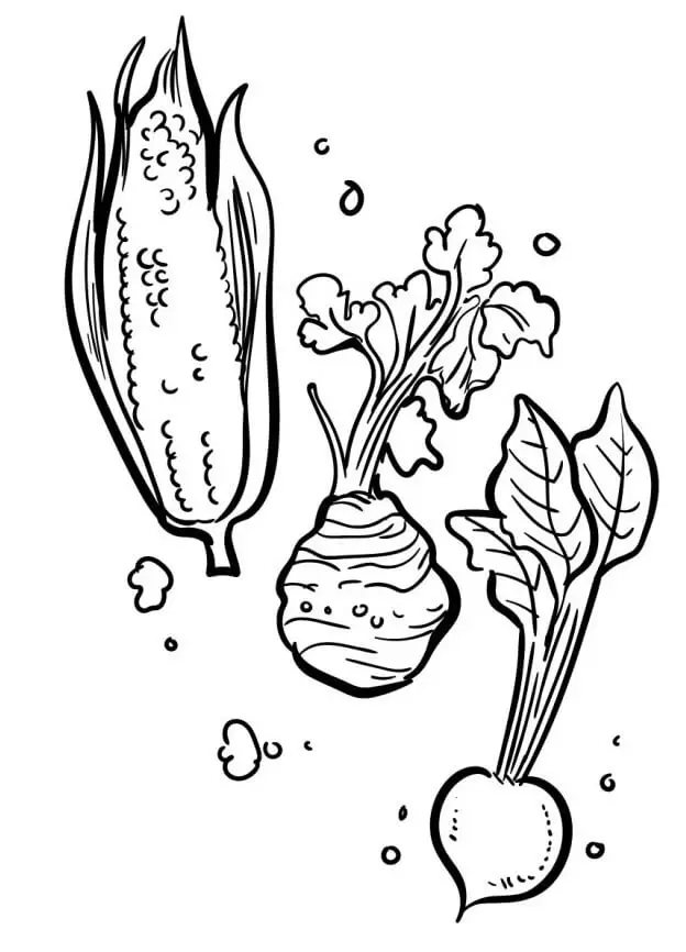 Legume de colorat p31