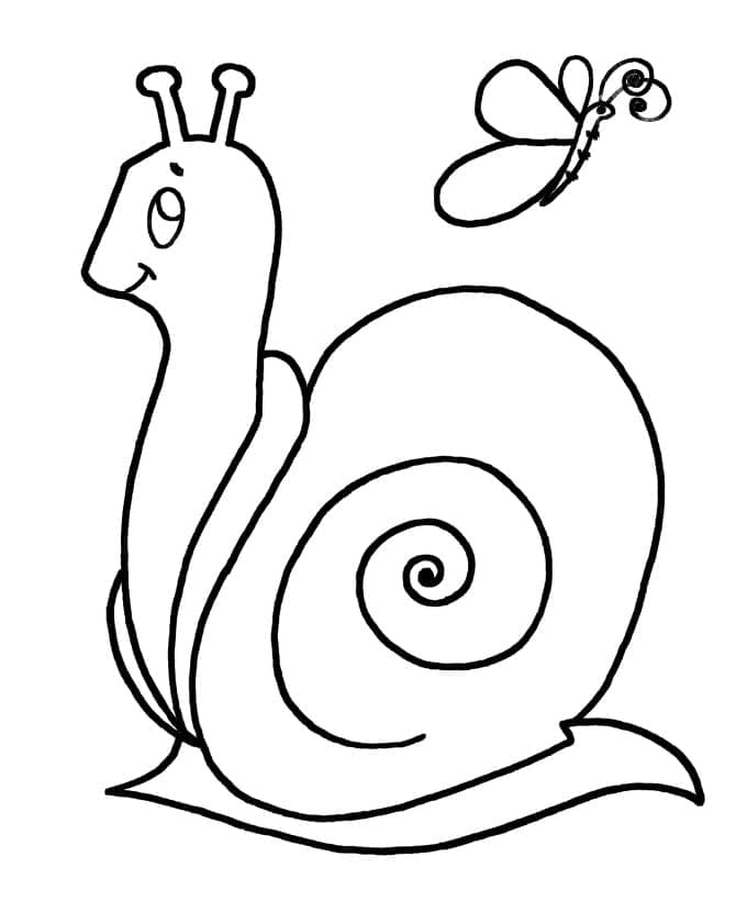 Melci de colorat p09