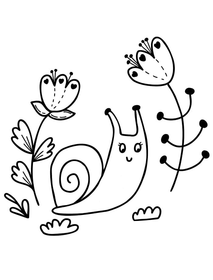 Melci de colorat p11