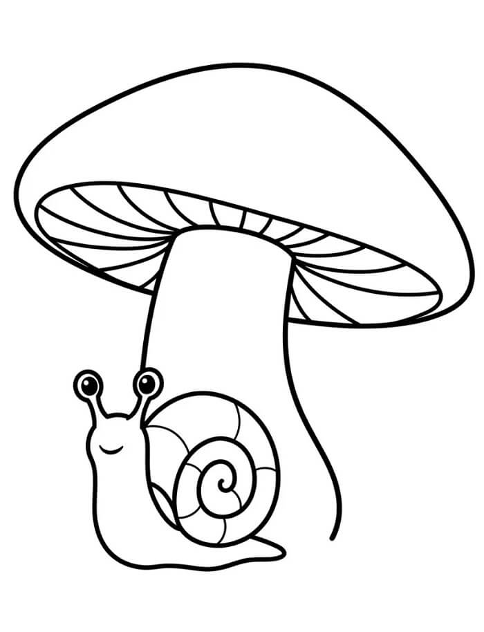 Melci de colorat p38