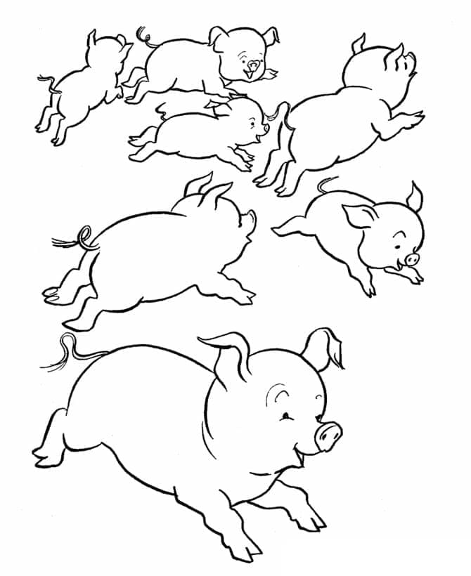 Fise de colorat cu Porc de colorat p04