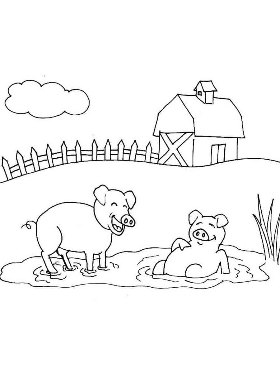 Fise de colorat cu Porc de colorat p13