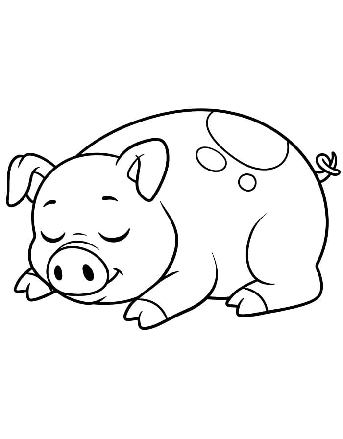 Fise de colorat cu Porc de colorat p20