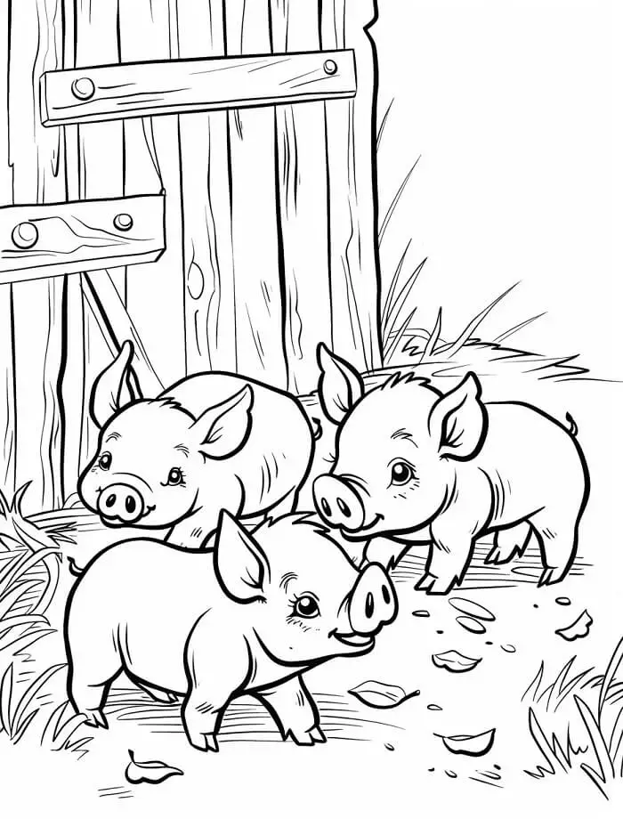 Fise de colorat cu Porc de colorat p22