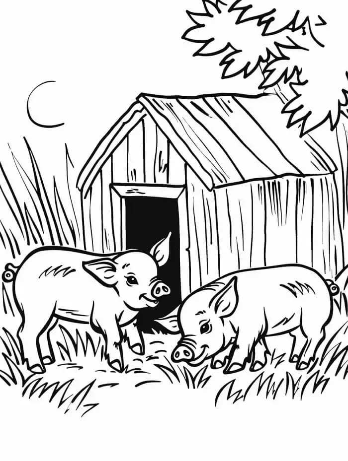 Fise de colorat cu Porc de colorat p34