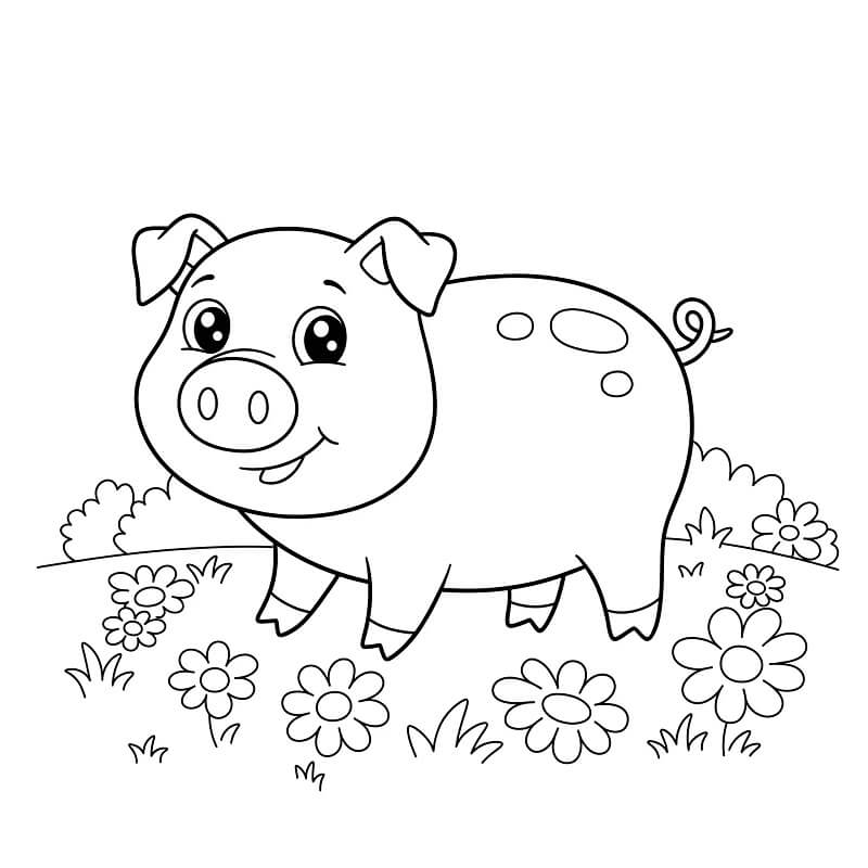 Fise de colorat cu Porc de colorat p40