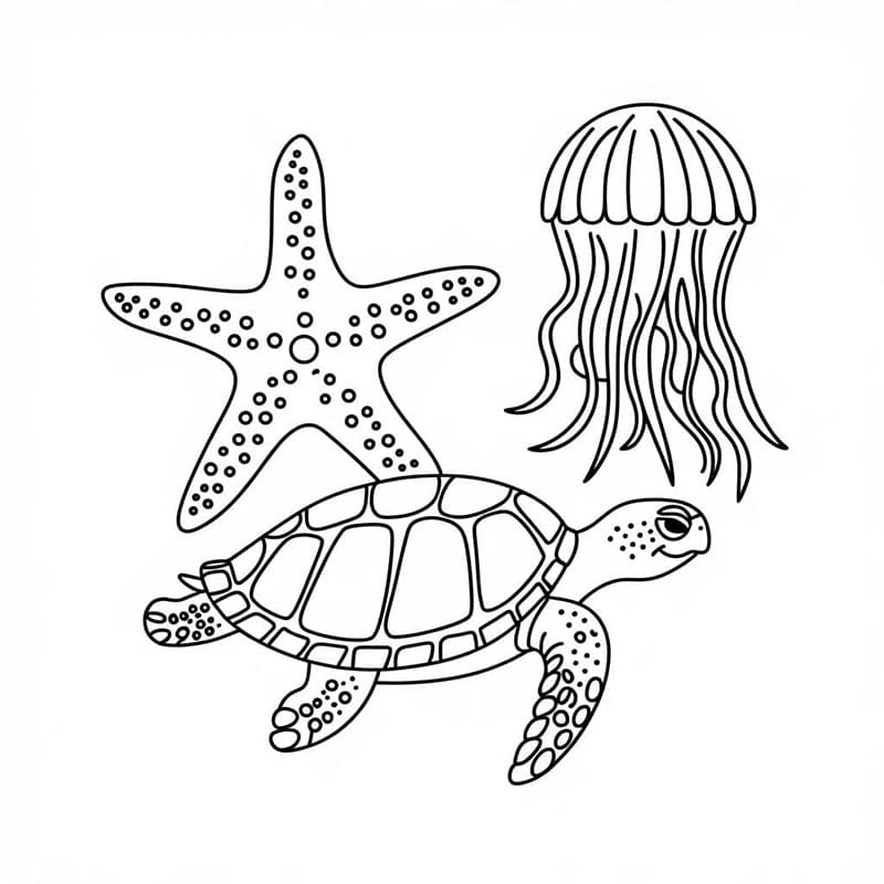 Fise de colorat cu Animale Marine de colorat p04