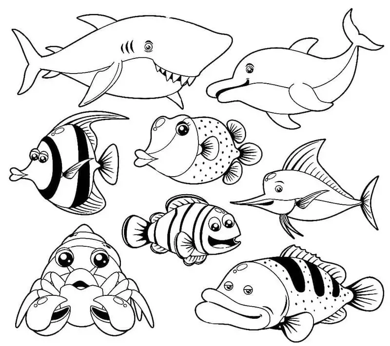 Fise de colorat cu Animale Marine de colorat p07