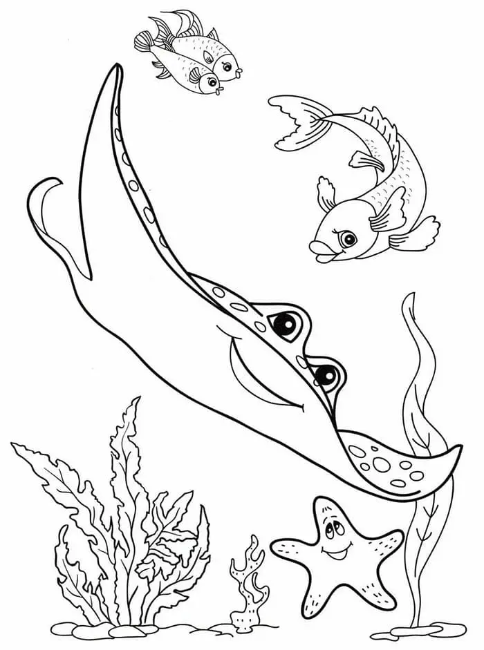 Fise de colorat cu Animale Marine de colorat p08