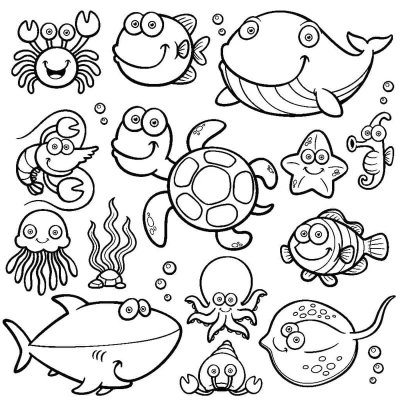 Fise de colorat cu Animale Marine de colorat p13