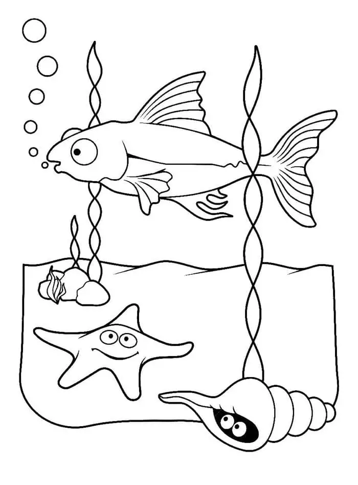 Fise de colorat cu Animale Marine de colorat p14