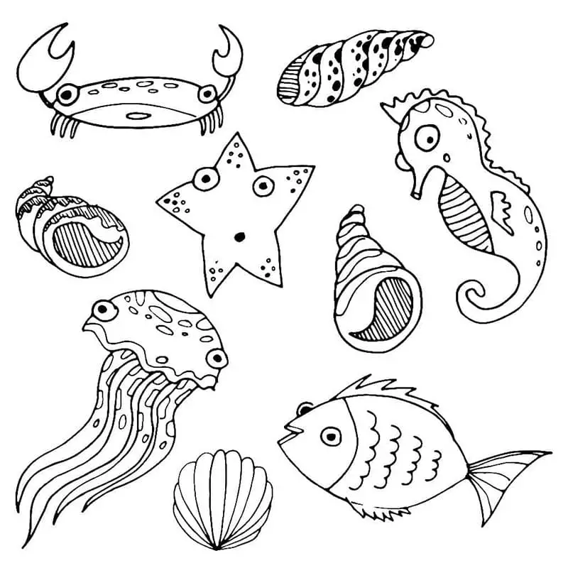 Fise de colorat cu Animale Marine de colorat p17