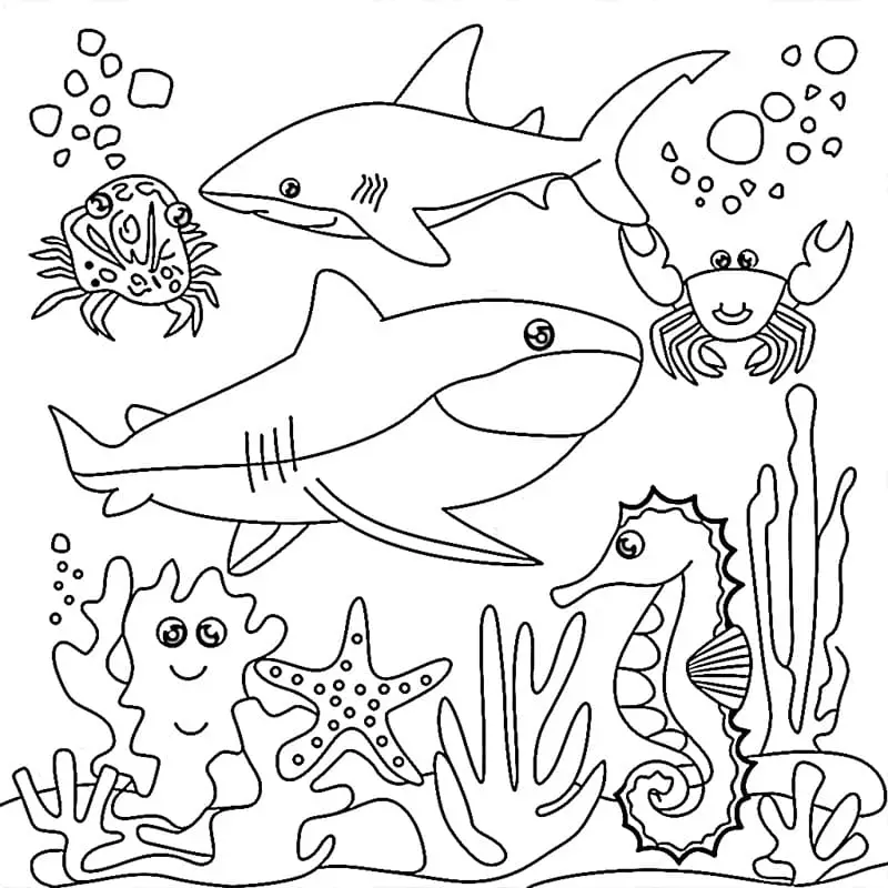 Fise de colorat cu Animale Marine de colorat p19