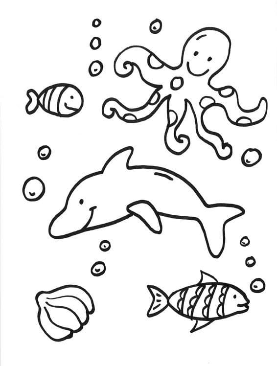 Fise de colorat cu Animale Marine de colorat p30