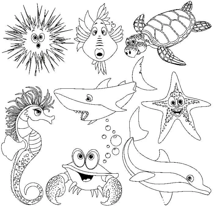 Fise de colorat cu Animale Marine de colorat p34