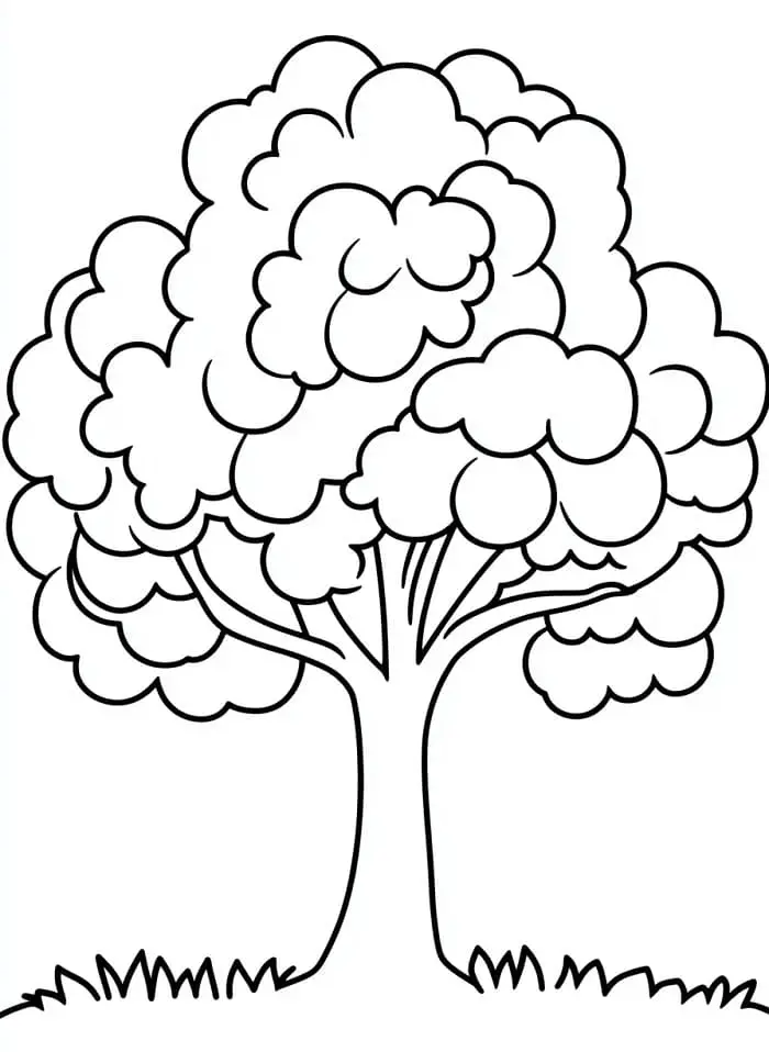 Fise de colorat cu Copaci de colorat p05