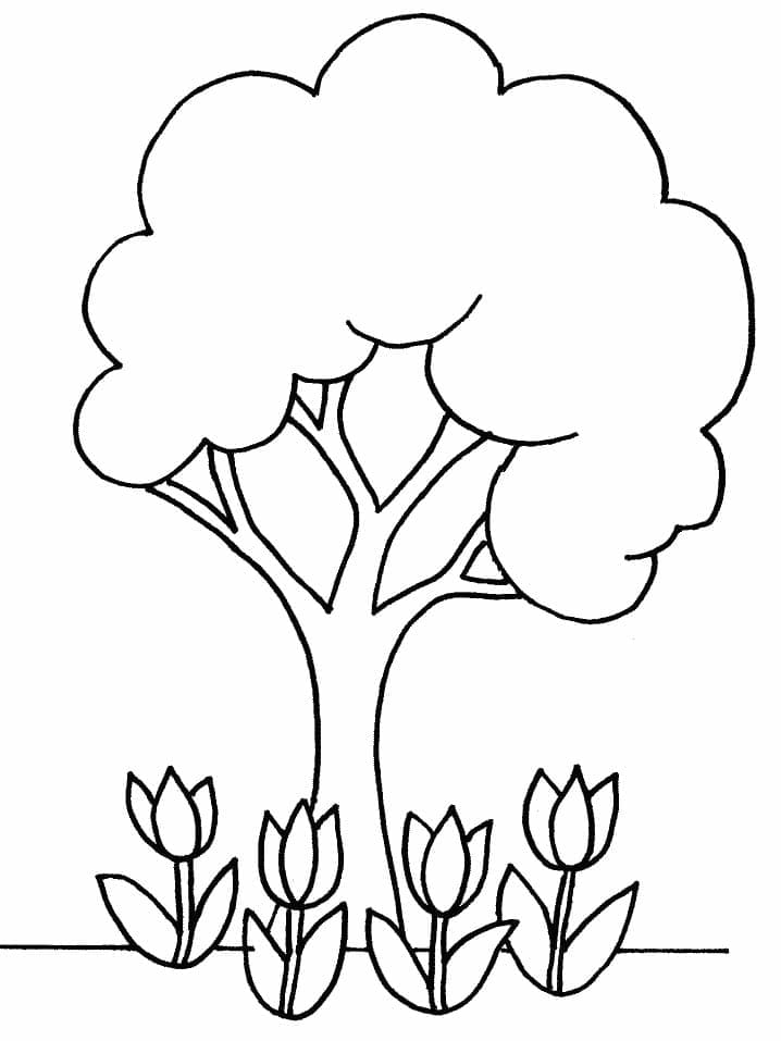 Fise de colorat cu Copaci de colorat p08