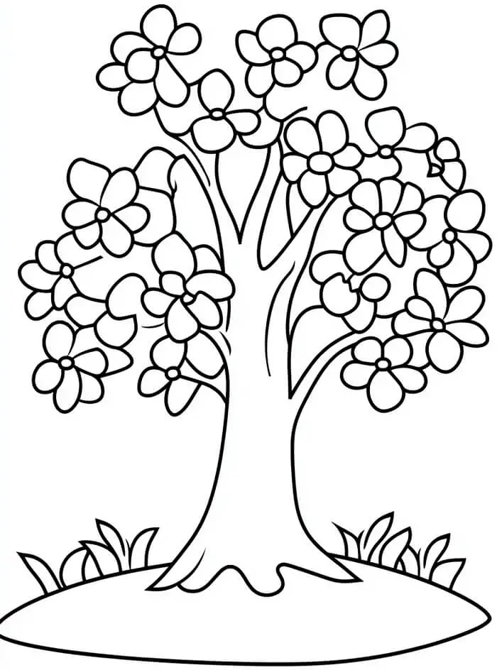 Fise de colorat cu Copaci de colorat p32