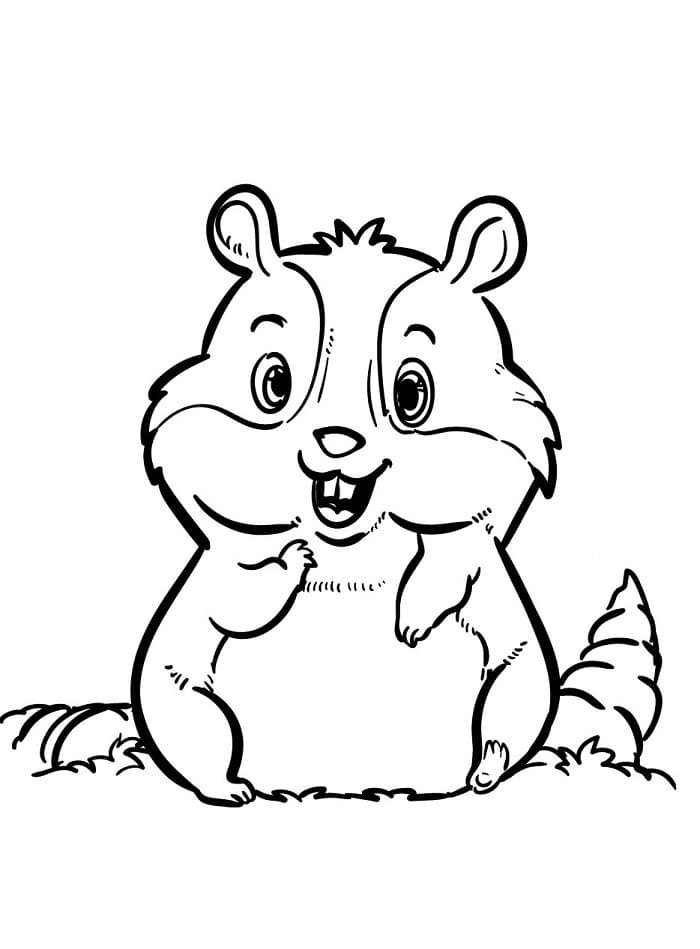 Fise de colorat cu Hamsteri de colorat p04