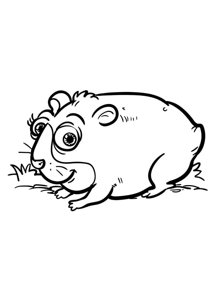 Fise de colorat cu Hamsteri de colorat p05