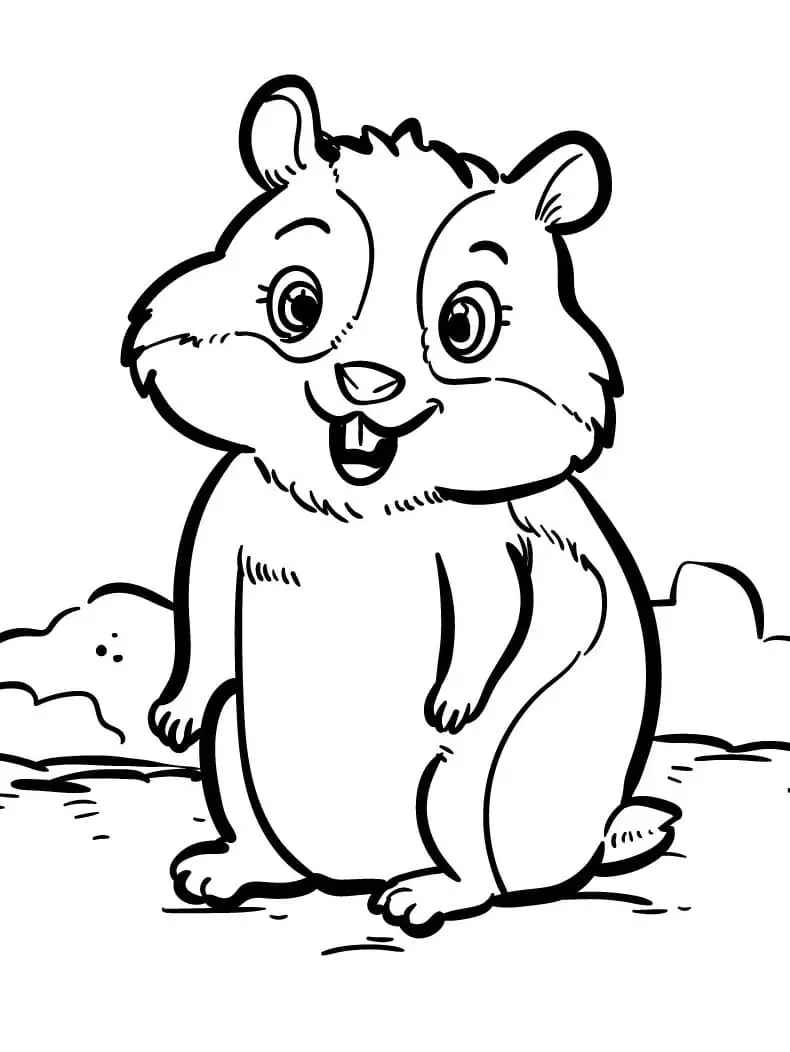 Fise de colorat cu Hamsteri de colorat p07