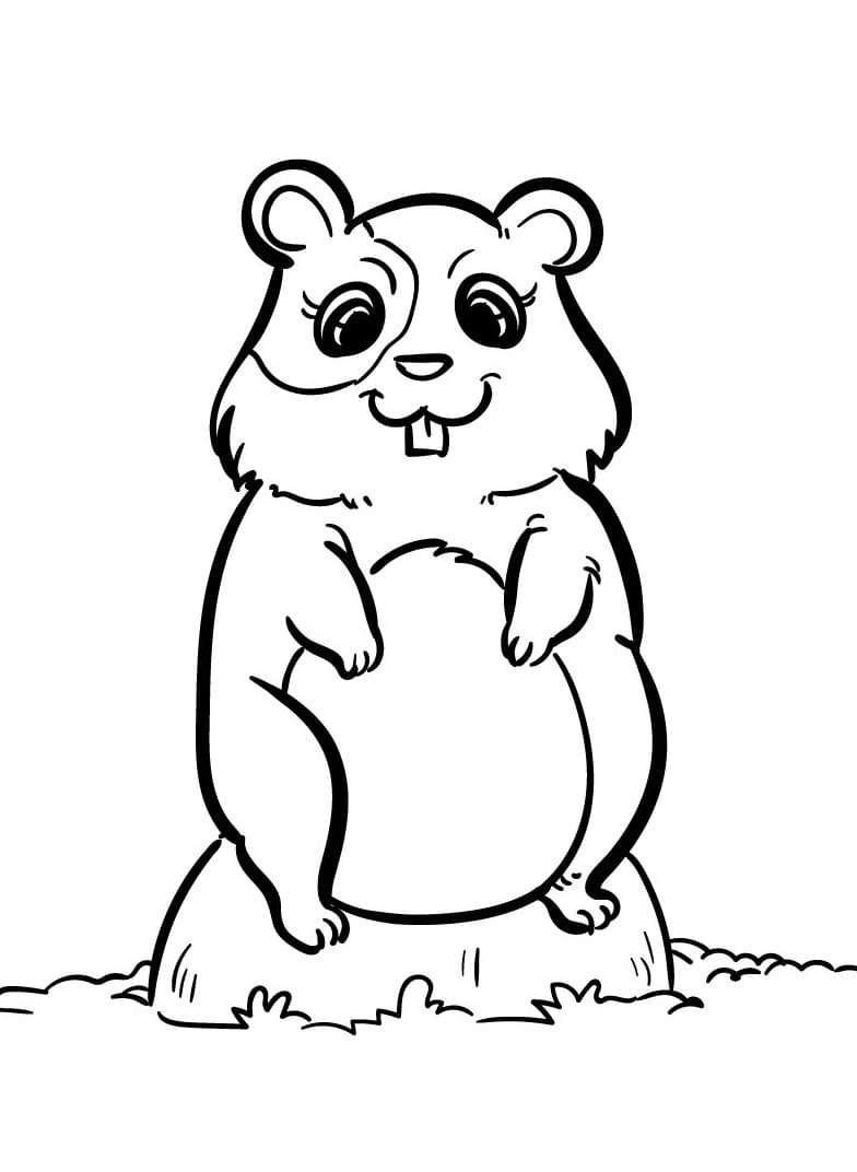 Fise de colorat cu Hamsteri de colorat p08