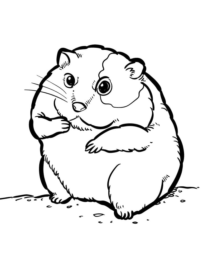 Fise de colorat cu Hamsteri de colorat p10
