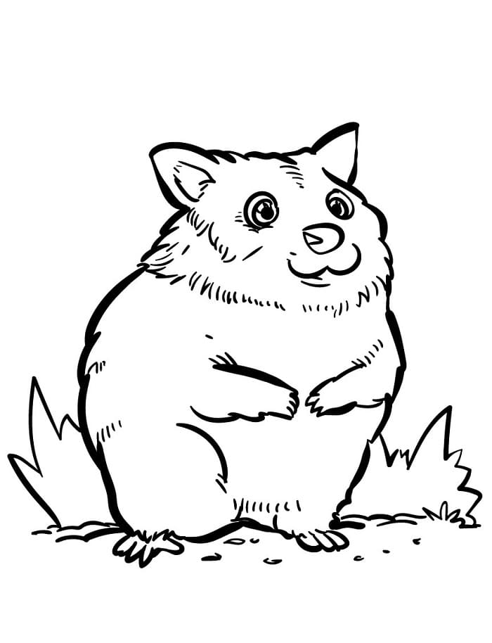 Fise de colorat cu Hamsteri de colorat p11