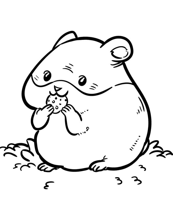 Fise de colorat cu Hamsteri de colorat p12