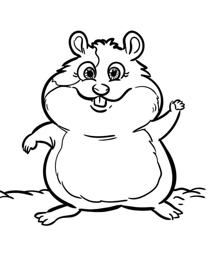 Fise de colorat cu Hamsteri de colorat p13
