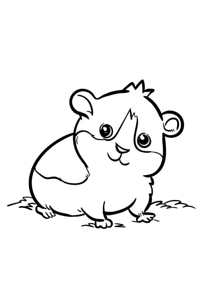 Fise de colorat cu Hamsteri de colorat p14