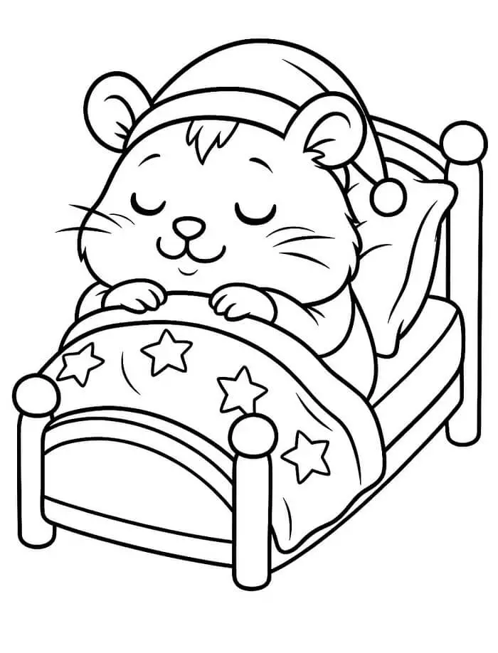 Fise de colorat cu Hamsteri de colorat p24
