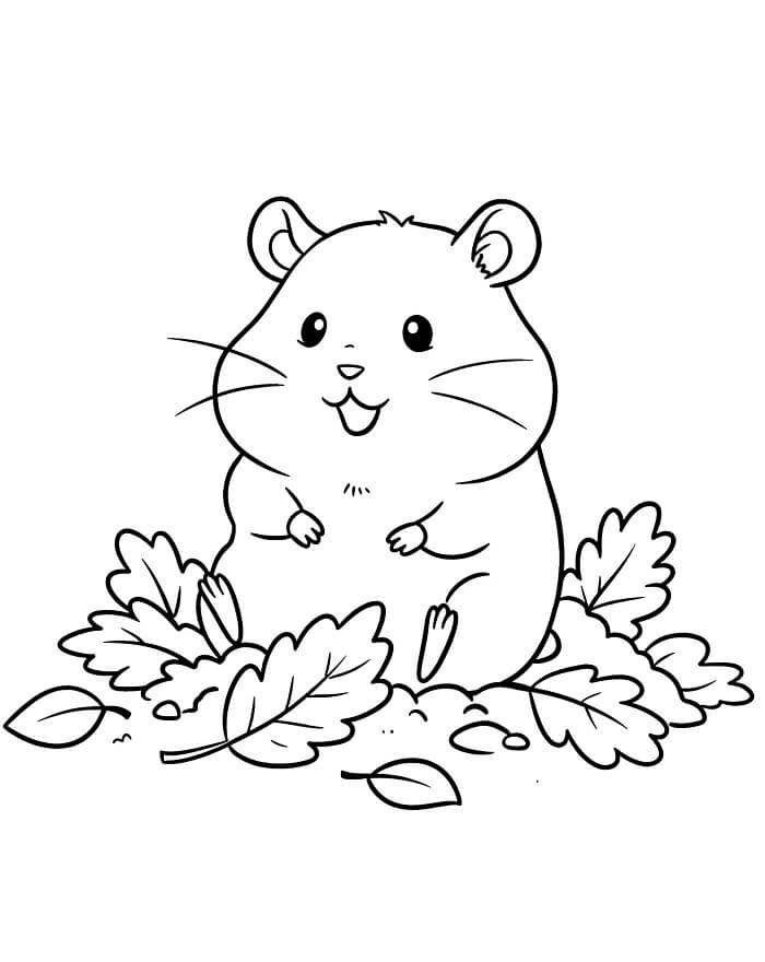 Fise de colorat cu Hamsteri de colorat p35