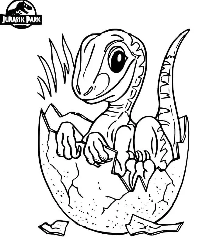 Fise de colorat cu Jurassic park de colorat p24