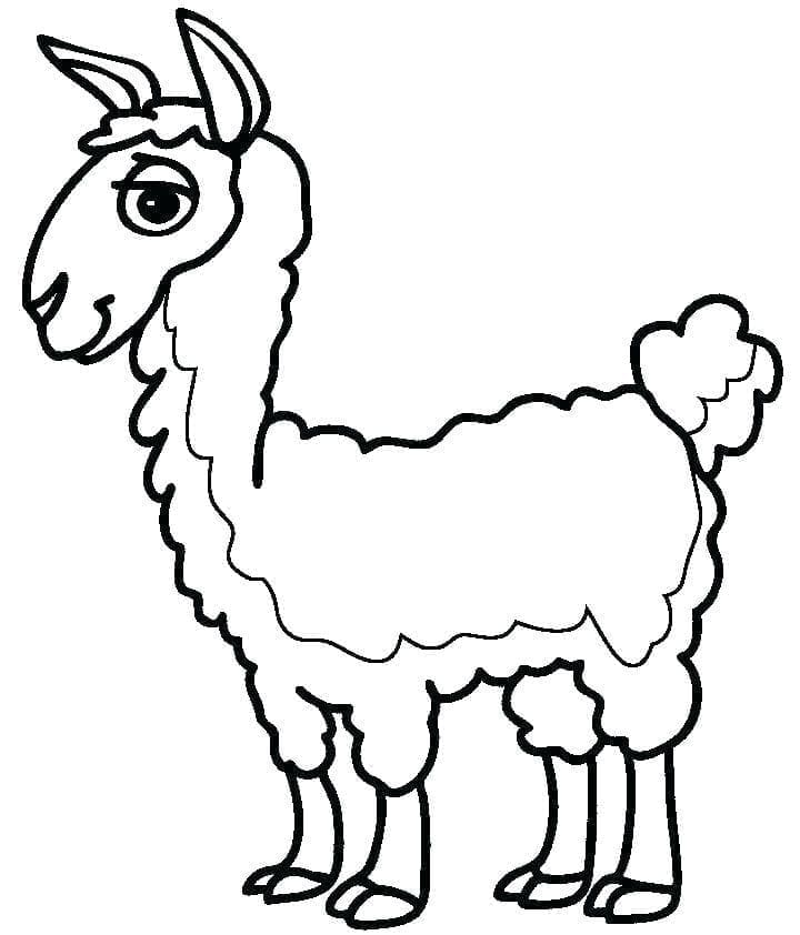 Fise de colorat cu Lamă de colorat p02