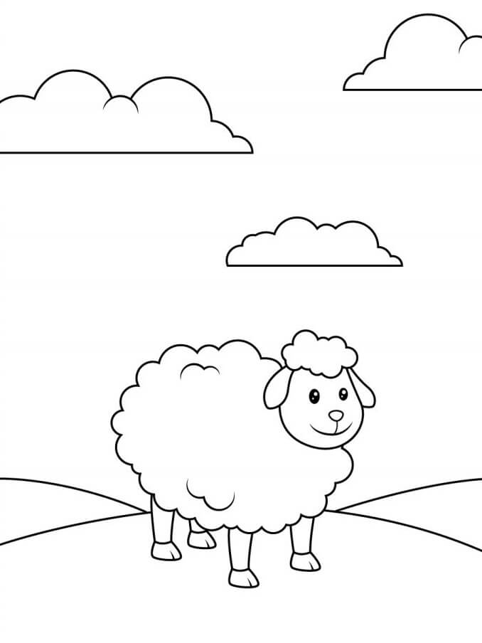 Fise de colorat cu Oaie de colorat p29