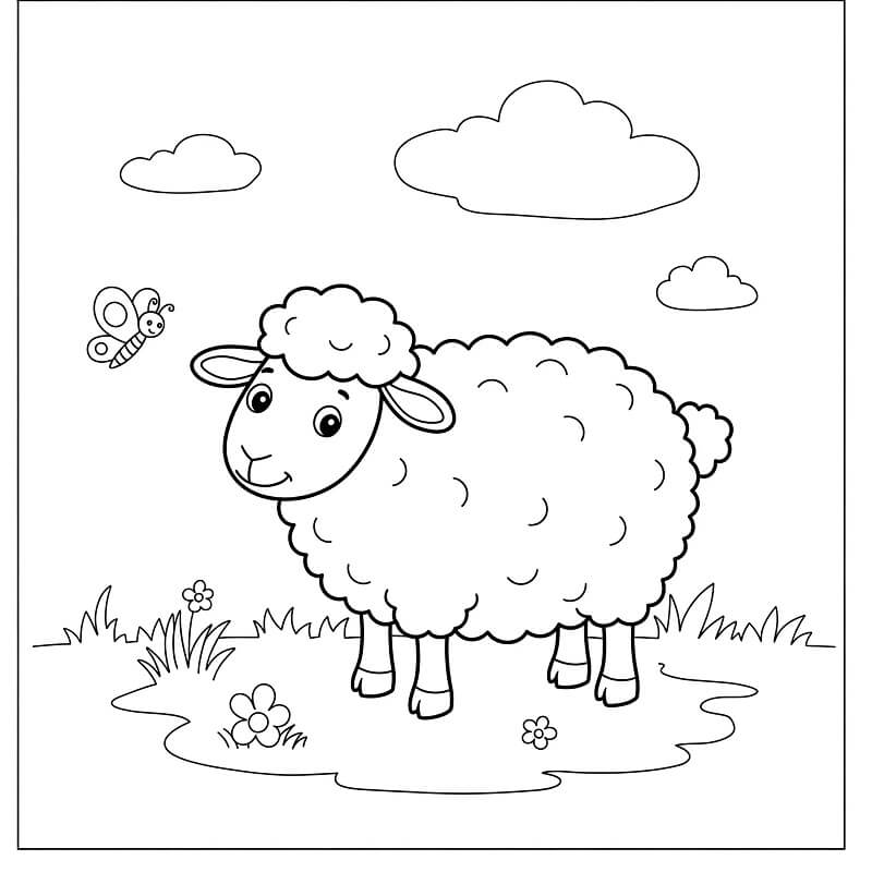 Fise de colorat cu Oaie de colorat p34